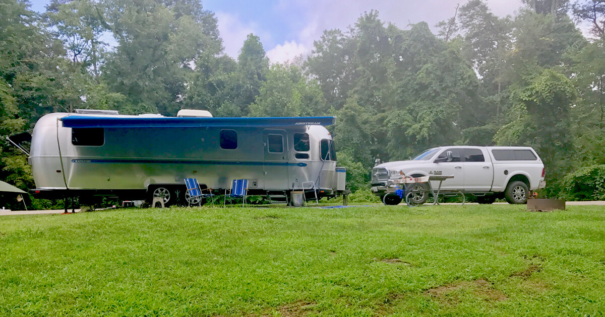 The Trees Are Falling! The Trees Are Falling!