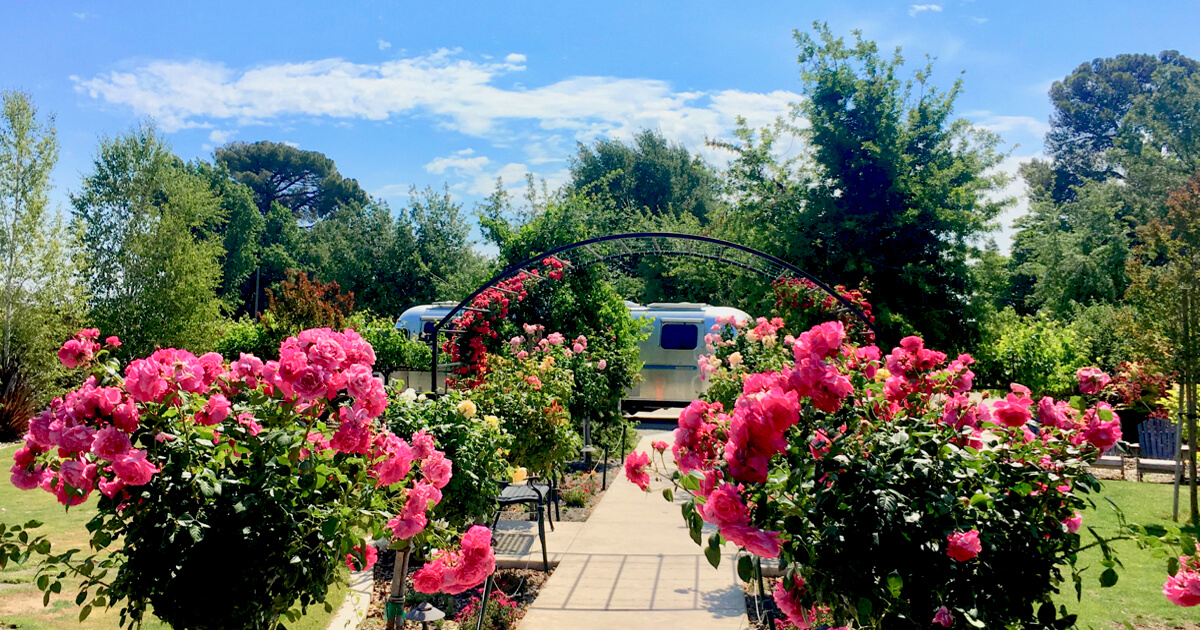 Same House, Different Paradise