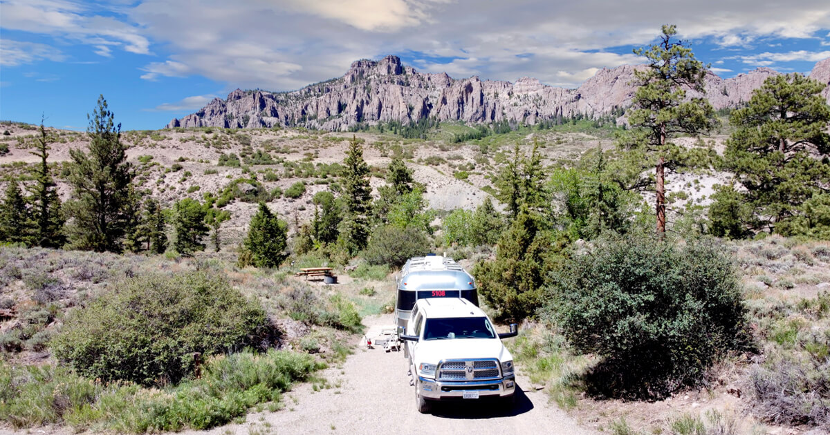 Through Wilds of Thought