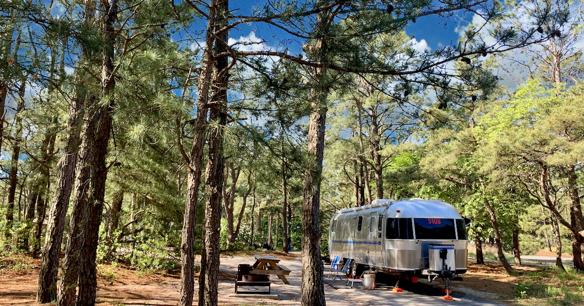 Back At Ya’ New Jersey