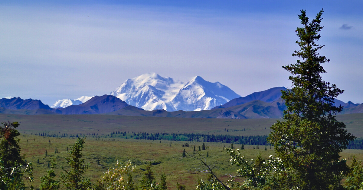 Airstreaming to Alaska – Chapter 17: Denali