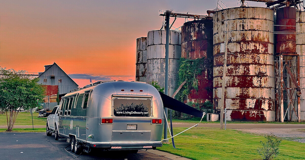 All Hail The Good King Biscuit!