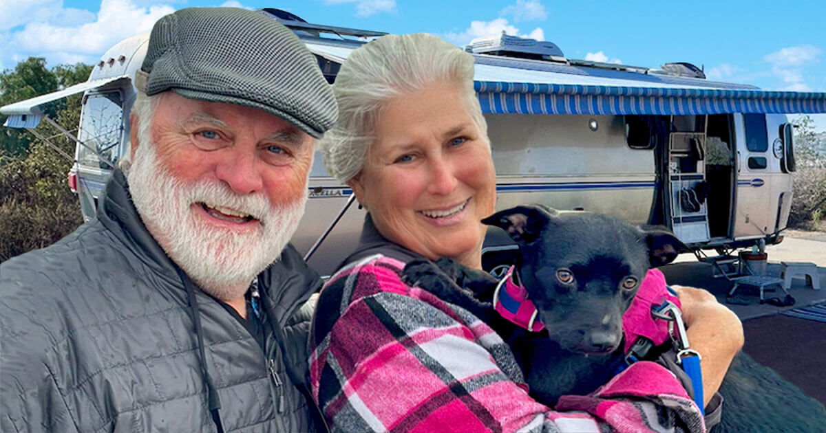 Stellaluna: Hitchhiker of the Heart